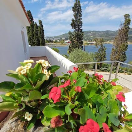 Skiathos Lagoterra Apartments Eksteriør billede